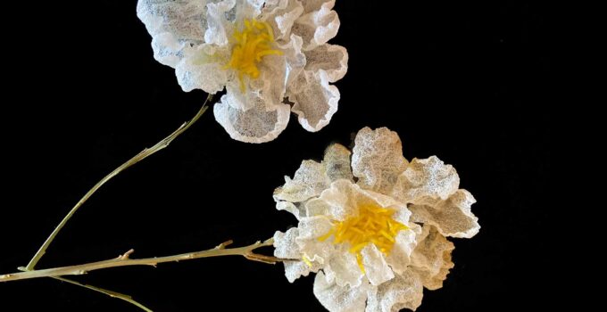 Flores con obleas de arroz